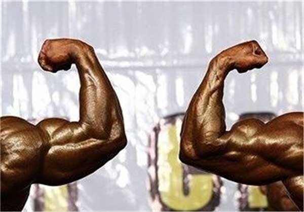 انتخابات هیئت بدنسازی و پرورش اندام استان تهران