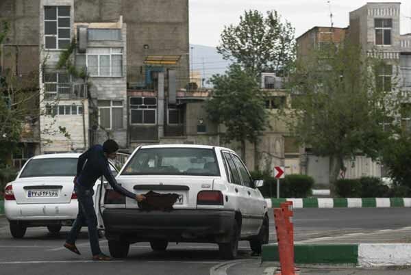 تخلفات پلاک خودرو