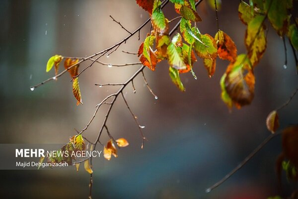 احمدی نژاد سامانه بارشی ضعیف وارد ایلام می شود