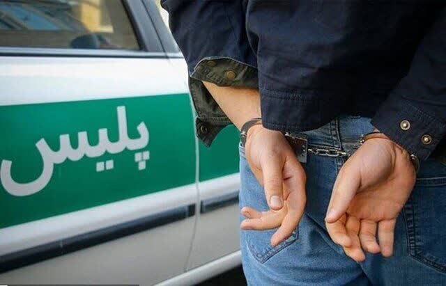 دستگیری سارقان فروشگاه‌های زنجیره‌ای در همدان؛ کشف ۳ فقره سرقت به ارزش بیش از ۱۰۰ میلیون ریال