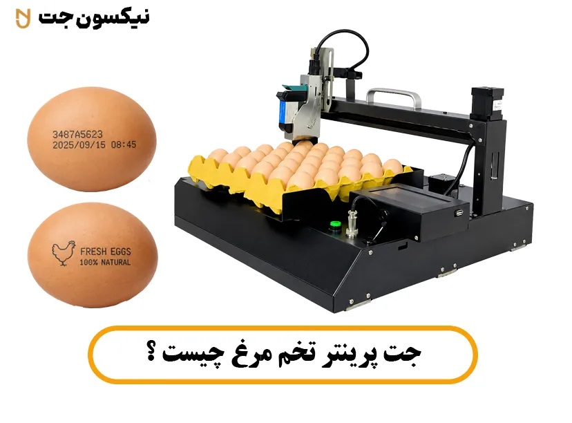 جت پرینتر تخم مرغ چیست ؟